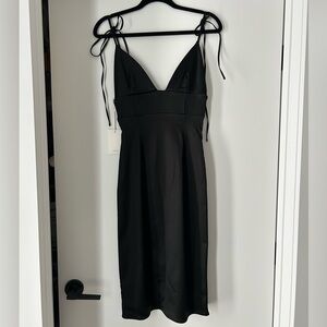 Aritzia Babaton Zadie Dress